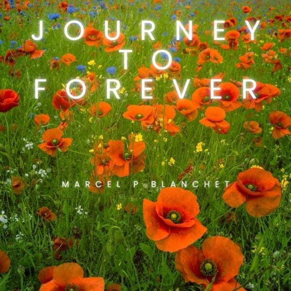 Cover art for Journey to Forever